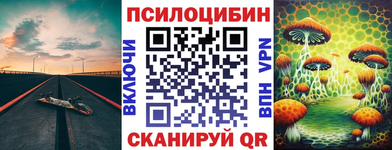 продажа наркотиков  Хилок  Галлюциногенные грибы Psilocybine cubensis 